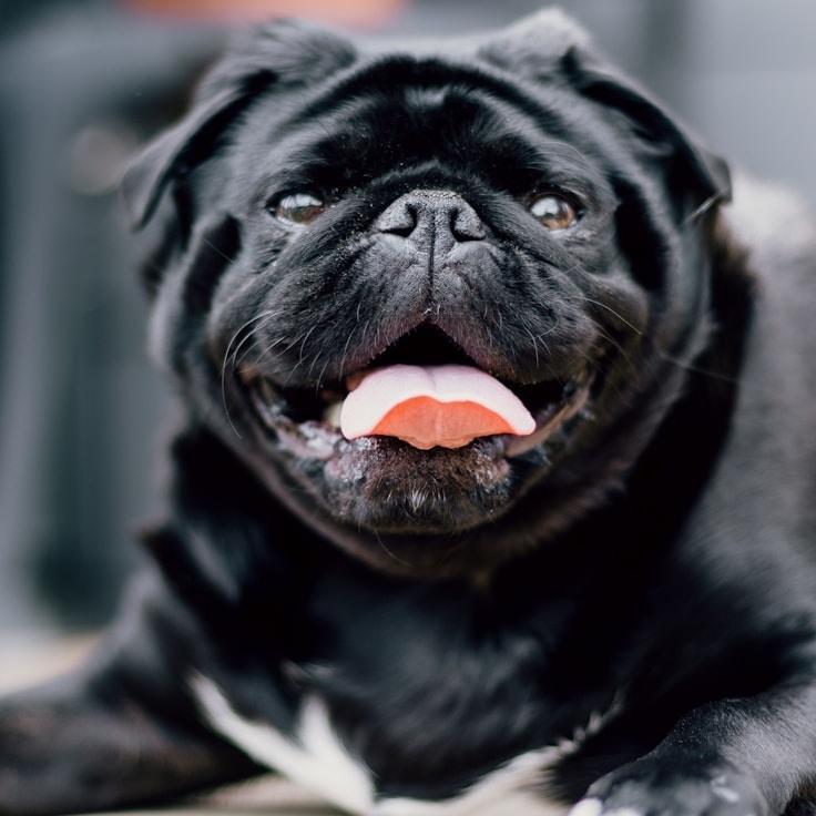 Jordan Patel testimonial